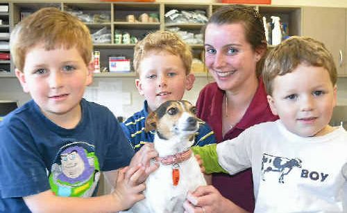 Brothers William, (back) Henry and Cameron Reardon, with vet clinic nurse trainee Tessa O’Brien and dog Milly. Warwick Vet Clinic performed a record number of de-sexing operations last month. Brothers William, (back) Henry and Cameron Reardon, with vet clinic nurse trainee Tessa O’Brien and dog Milly. Warwick Vet Clinic performed a record number of de-sexing operations last month.